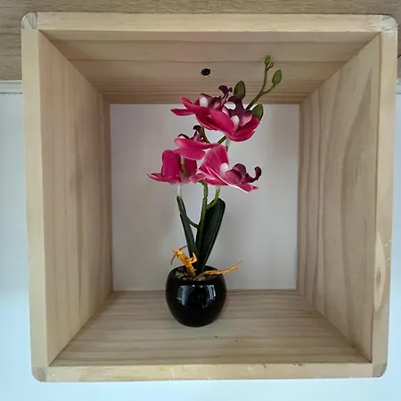 Cozynest - Cettina Gasthof Gzira