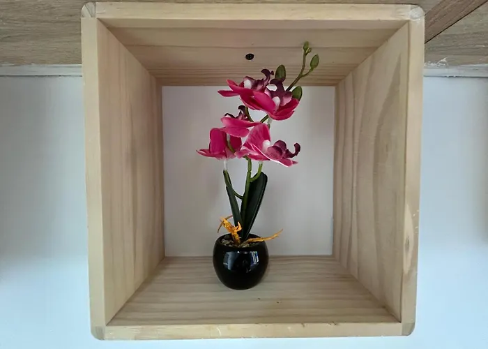 Cozynest - Cettina Pensjonat Gzira